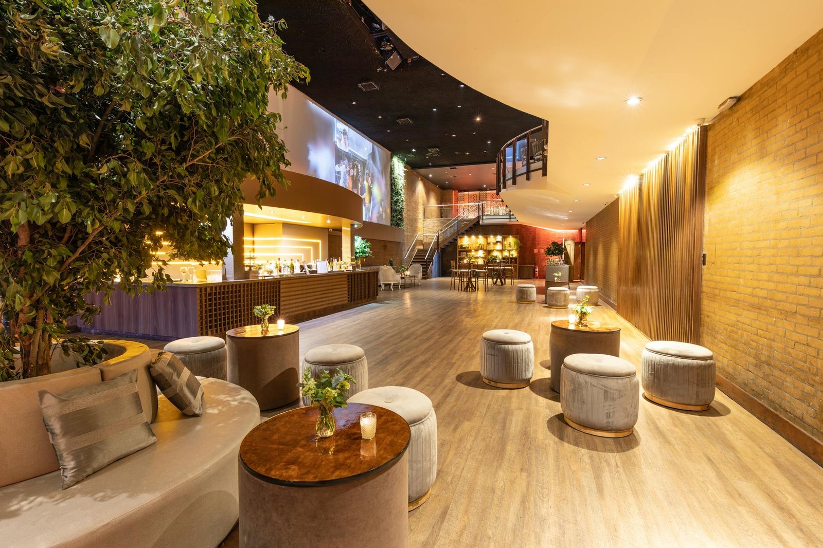 Vuni Palace Otele En Yakın Gece Kulupleri Galeri